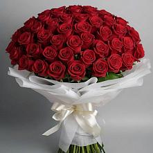 Букет 101 Красная роза Блэк Мэджик #REPLACE_PRED# Тлюстенхабль