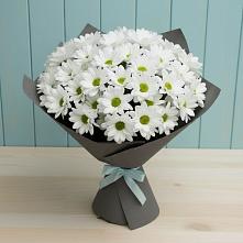 Букет цветов из:  Хризантемы в Тлюстенхабль