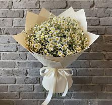 Букет цветов из:  Ромашки в Тлюстенхабль