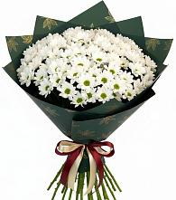 Букет цветов из:  Хризантемы в Тлюстенхабль