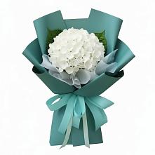 Букет цветов из:  Гортензия #REPLACE_PRED# Тлюстенхабль